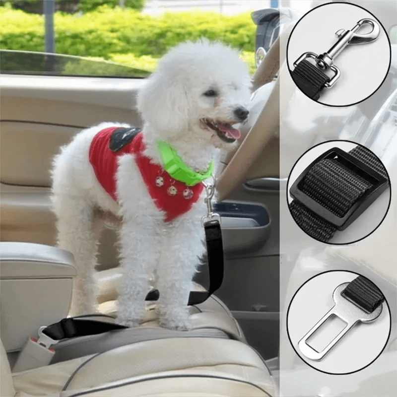 Coleira Pet-Drive